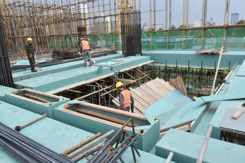 2021第五屆中國任丘模板腳手架展銷對接峰會圓滿落幕，建筑材料產業展現新活力